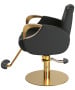 Venus Gold All Purpose Chair-image3