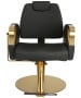 Venus Gold All Purpose Chair-image2