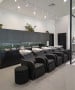 Lexus Backwash Unit w/ Electric Legrest -image3