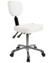 Silver Fox 1030 Rolling Stool w/ Back-image1