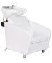 Shelby Backwash Unit-image8