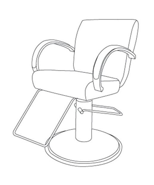 Takara Belmont ST-E10 Odin Styling Chair