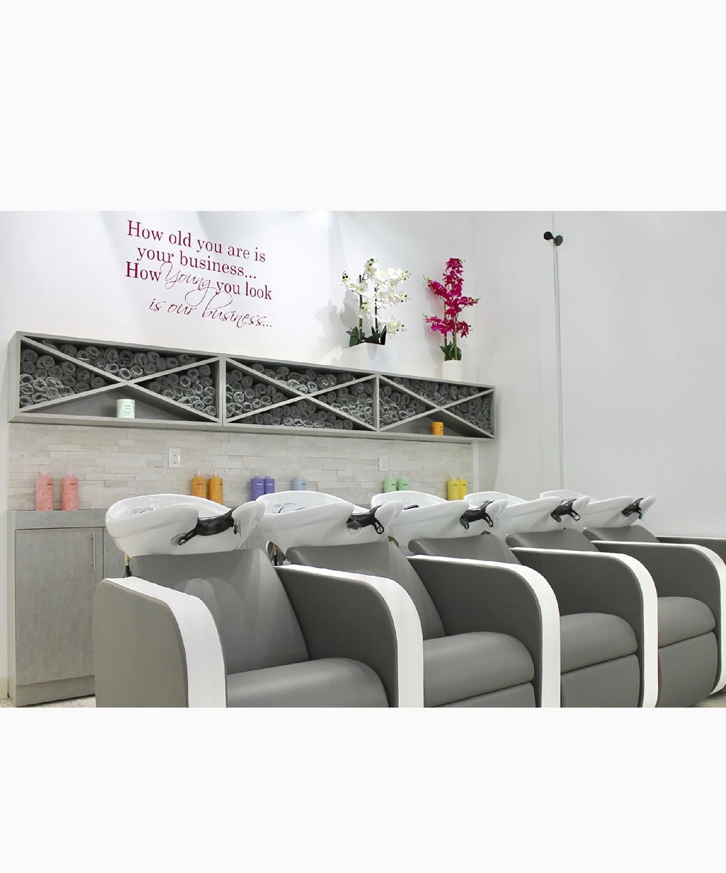 Salon Ambience Iconwash Backwash Unit