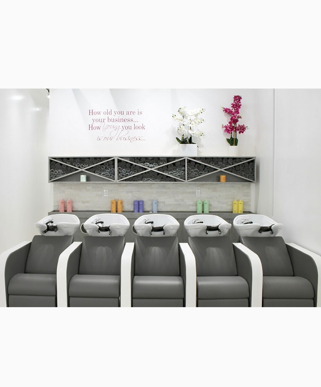 Salon Ambience Iconwash Double Backwash Unit