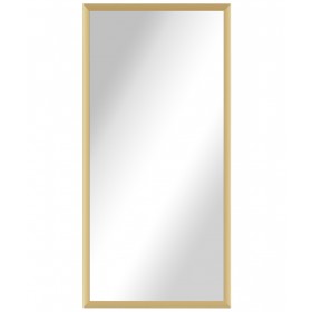 Alexa Full Length Salon Mirror & Frame