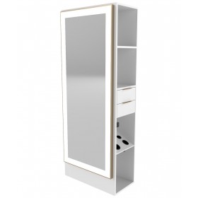 Collins E1042 Essentials Formula Wall Station