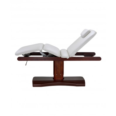 electric facial massage spa bed beds furniture salon couch ultimate motor ceda purpose multi pmd couches beauty direct tables