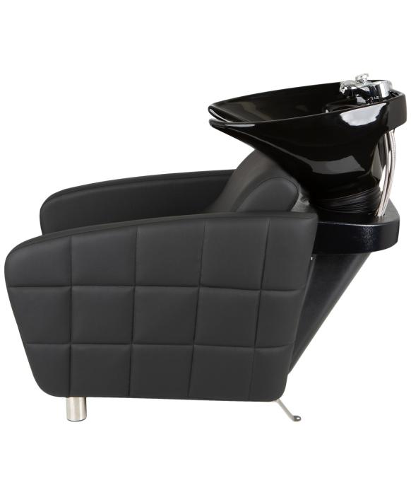 Icon Backwash Unit