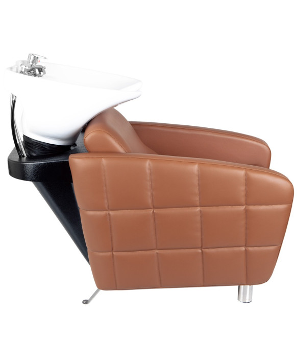 Icon Backwash Unit