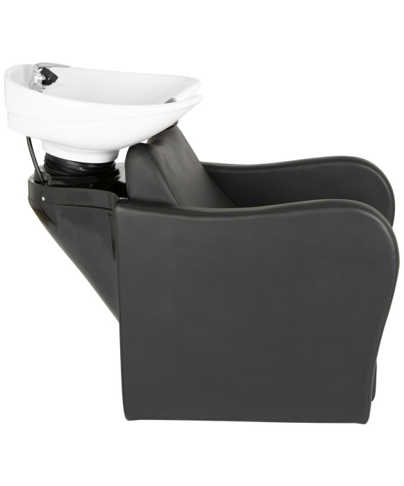 Lexus Backwash Unit w/ Electric Legrest