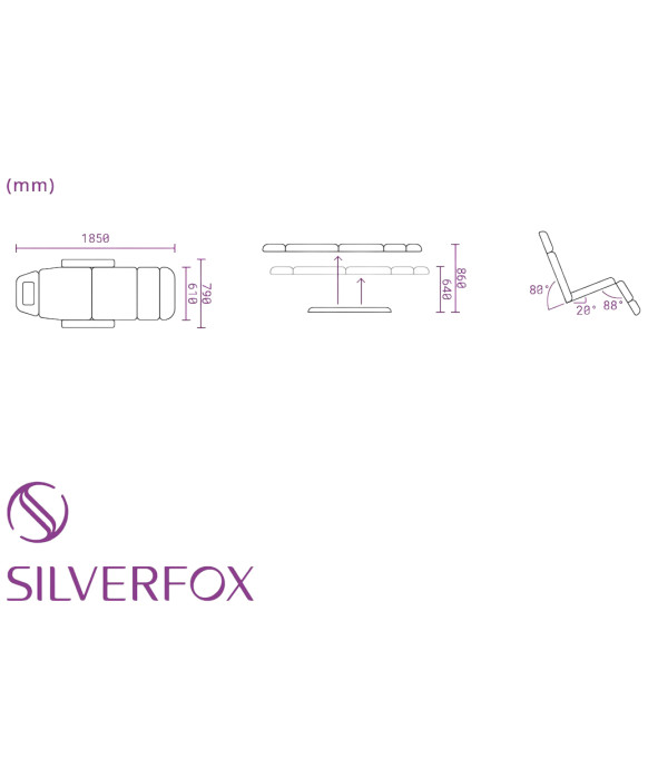 Silver Fox 2219B Facial Bed and Exam Chair