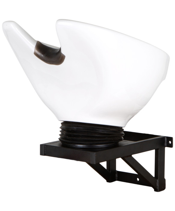 Wall Mounted Tilting Porcelain Shampoo Bowl