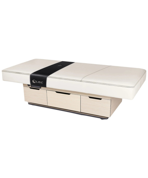 Living Earth Crafts Century City Treatment Table with Storage Drawers
