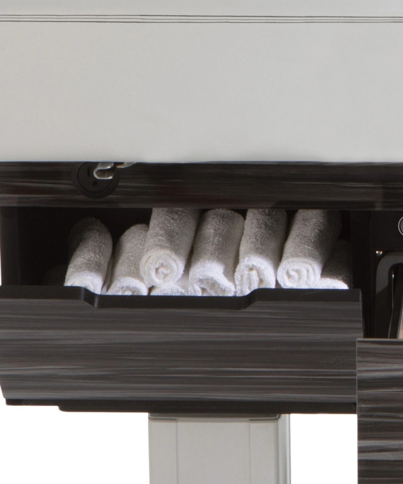 Living Earth Crafts Century City Treatment Table with Warming Drawers