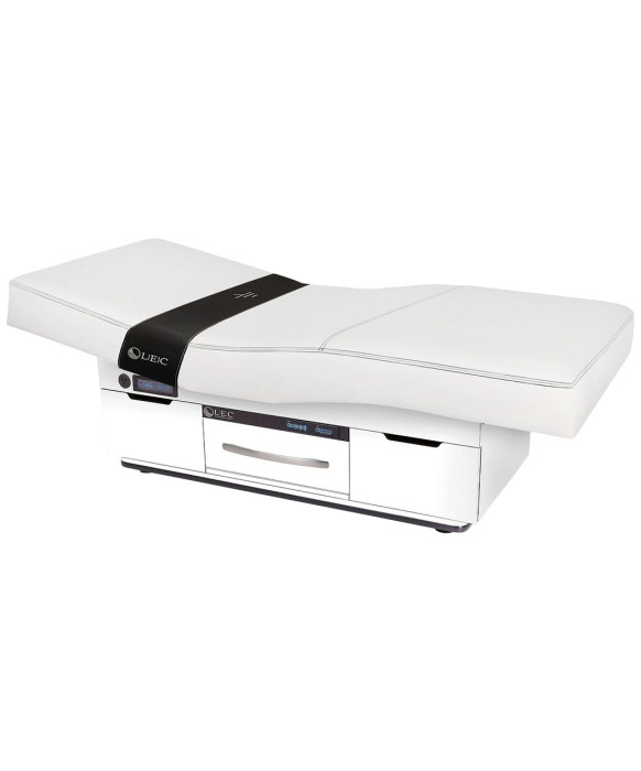 Living Earth Crafts Century City Treatment Table with Warming Drawers