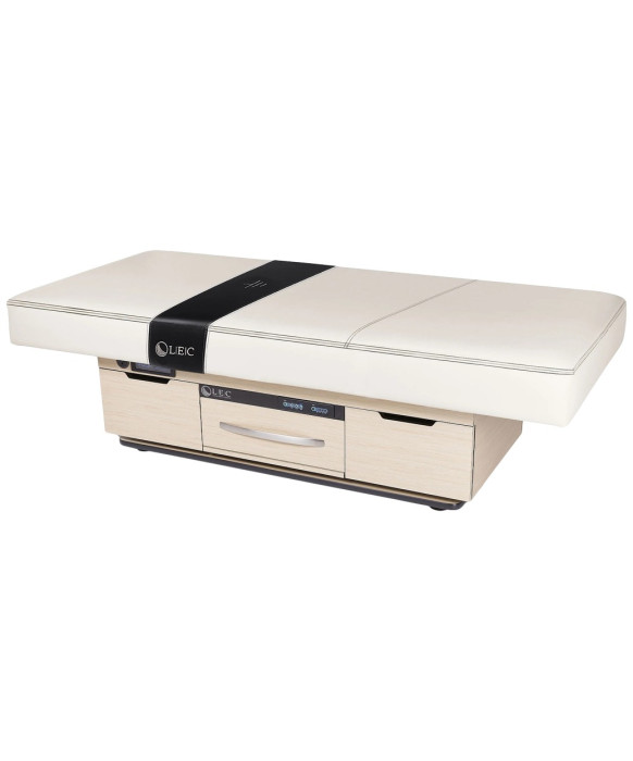 Living Earth Crafts Century City Treatment Table with Warming Drawers