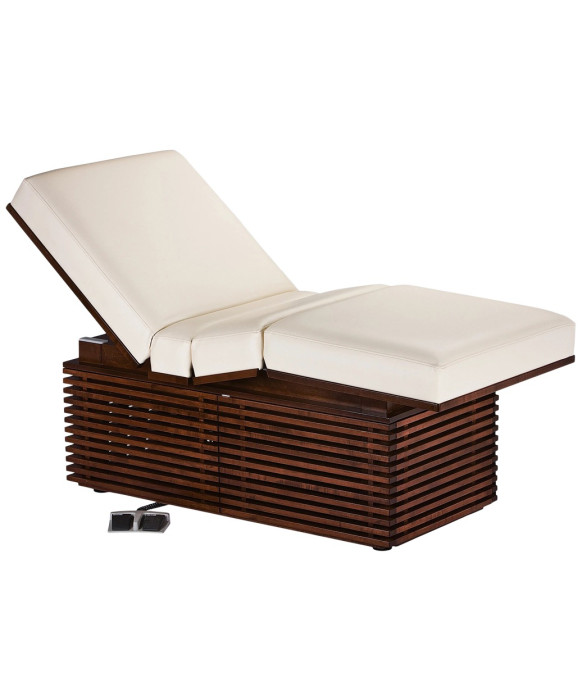 Living Earth Crafts Pro Salon Modern Treatment Table
