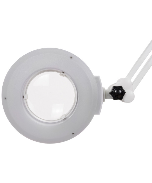 Silver Fox F-003 2 in 1 Facial Steamer with Magnifying Lamp Combo