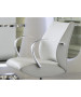 Belvedere Lioness Styling Chair-image2