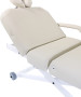 Silver Fox 2274B Electric 4 Section Multi Purpose Massage Table-image9