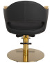 Luna Gold Styling Chair-image4