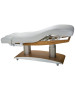 Silver Fox 2259+ Electric Massage & Spa Table-image5