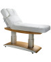Silver Fox 2259+ Electric Massage & Spa Table-image1