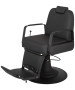 Phantom Professional Barber Chair-image2