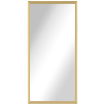 Alexa Full Length Salon Mirror & Frame