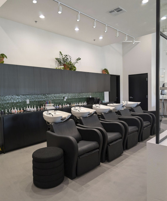Lexus Backwash Unit w/ Electric Legrest 