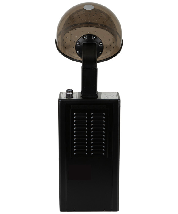 MAXX Hot Professional Salon Dryer 