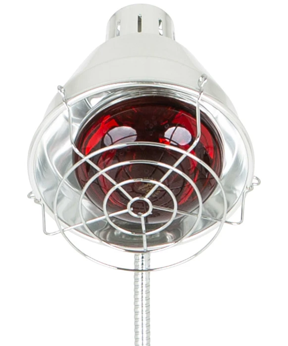 Pibbs DL 957 2 Headed Processing Lamp