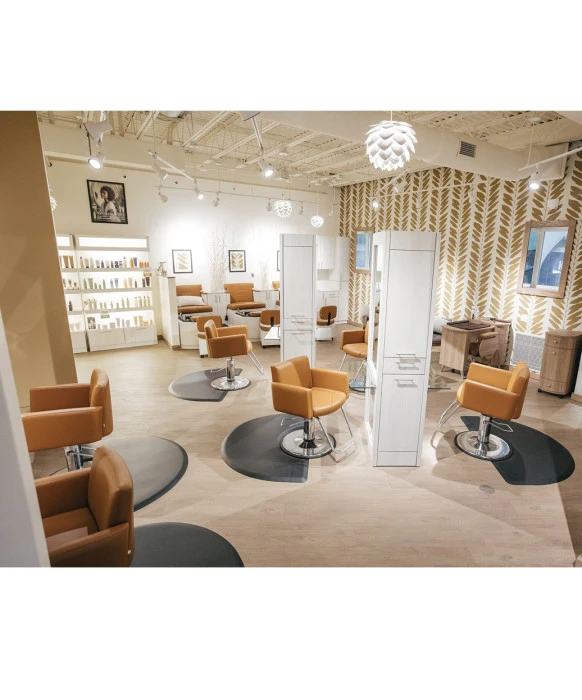 Collins 6900 Cigno Styling Chair