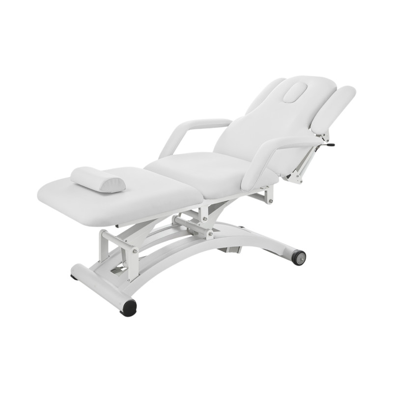 Silver Fox Harmon 2241C High Performance 3 Section Electric Facial