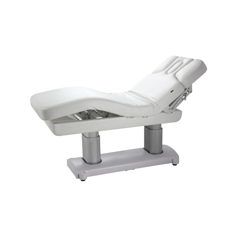 silver-fox-2249-ocili-electric