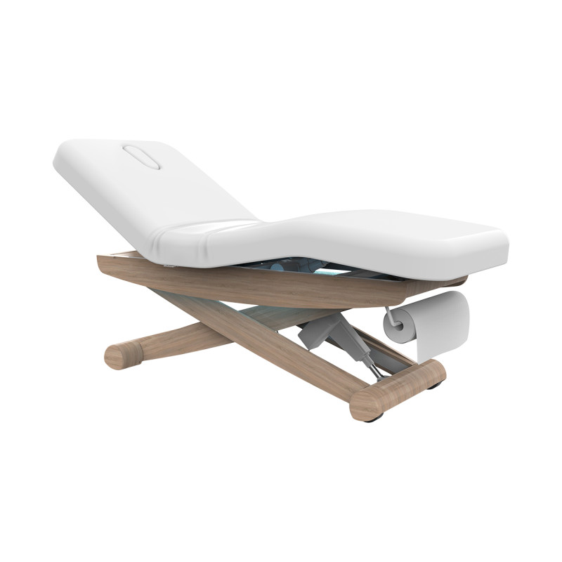 silver-fox-2256b-electric-