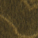American Walnut 