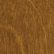 Pecan 
